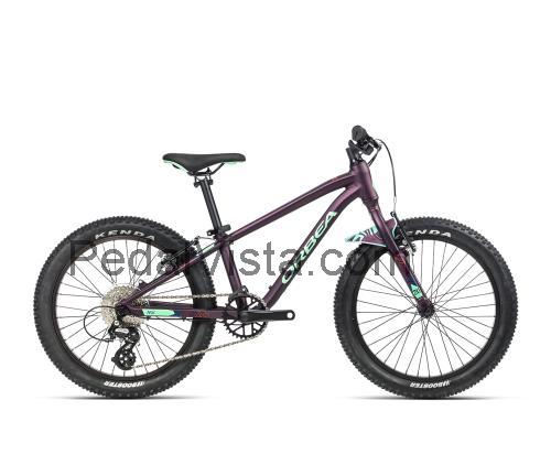 Orbea MX Team fiche technique et avis